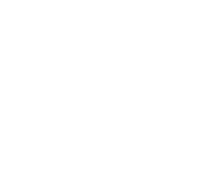 Americas Pizza